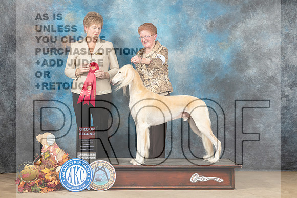 Saluki #5 Sun G2 Judge Denise Flaim_MJ_9273_Humble_2022_HR3