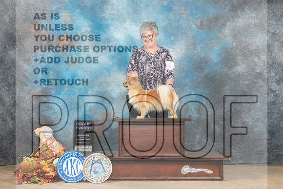 Tibetan Spaniel #6 Sun G4 Judge Cindy Meyer_MJ_9358_Humble_2022_HR3