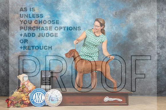 Vizsla #16 Sun BOSWBM Judge Sid Marx_MJ_9193_Humble_2022_HR3