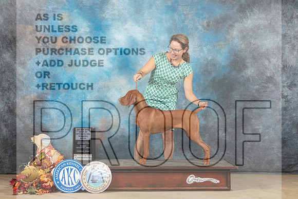 Vizsla #16 Sun BOSWBM Judge Sid Marx_MJ_9195_Humble_2022_HR3