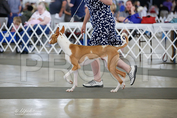 _JJ_4950-DallasJul2014-HR3