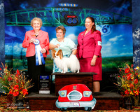 #83 Tues BOW Diana Sayre Judge Cecilia Ringstrom