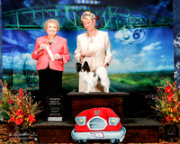 #96 Tues BBE 4th Lisa Christensen & Chris Christensen Judge Cecilia Ringstrom