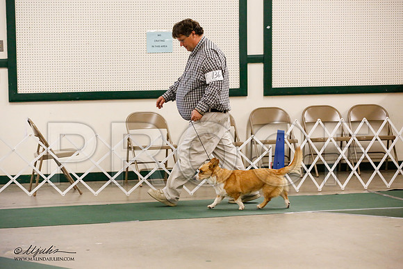_JN_0061-NrmnNov2014-HR3