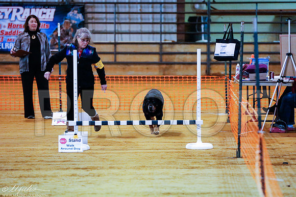 _RH_4540-MarshDec2014-HR