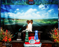 Dee Ann Kilbourn Agility 1st