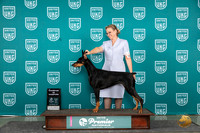 Doberman Pinscher #895 Sun CH Judge Tracie Karsjens