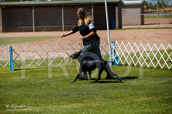 _JJ_8276-AlamogordoOct2014-HR3