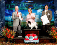 #109 Thurs Open Dog 4th Tonia Perry Jackie Cantwell Judge Dr Steve Keating