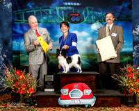 #115 Thurs Open Dog 3rd Laura Nichols Judge Dr Steve Keating