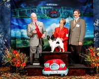 #17 Thurs 6 to 9 Dog 2nd Richard Lopaschuk Nancy Lopaschuk Judge Dr Steve Keating