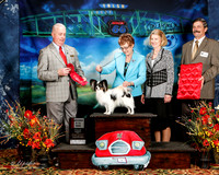 #37 Thurs 9 to 12 Dog 2nd Vicki Olson Judge Dr Steve Keating