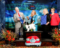 #55 Thurs 12 to 18 Dog 1st Andrea Meloon Janis McLaren Shellie Juden Cheryl Maass Judge Dr Steve Keating