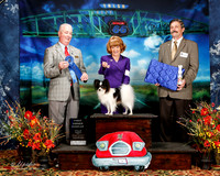 #67 Thurs AOH 1st Pat Parker Judge Dr Steve Keating