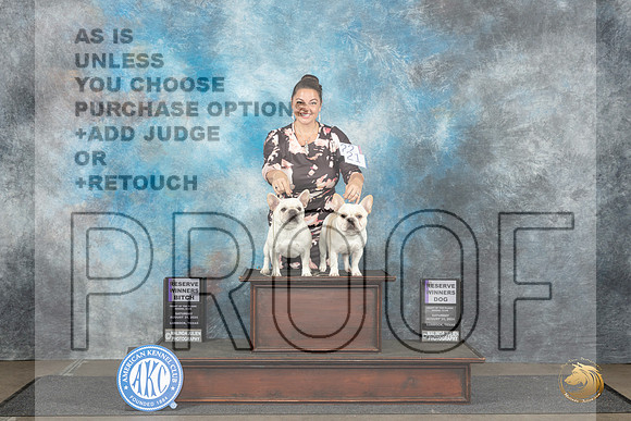 French Bulldogs #21 & 22 Fri RWD RWB Judge Sharon Newcomb__JP_3491_Lubbock_2024_HR3