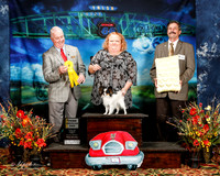 #130 Thurs Am Bred 3rd Edwina Mintz Beverly Daughtry Edwin Mintz Judge Dr Steve Keeting