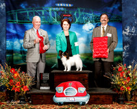 #150 Thurs Open Bitch 2nd Debra Robertson Mardell Leppington Judge Dr Steve Keeting