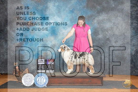 Australian Shepherd #14 WBBOSCH Judge Karen Hynek__JP_7746_MARSHALL_2024_HR3