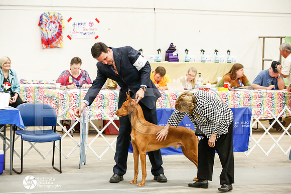 _JJ_0101-AblnMay2014-web