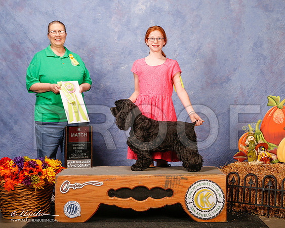 _CL_4565-2-SanAngelo2014-HR3