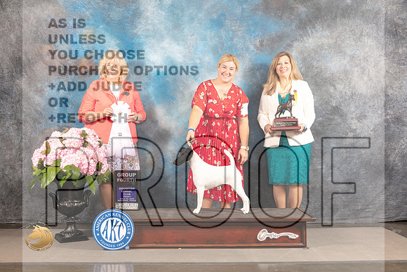 Smooth Fox Terrier #8 FRI G4 Judge Karen McFarlane_MJ_5711_Houston_2022_HR3