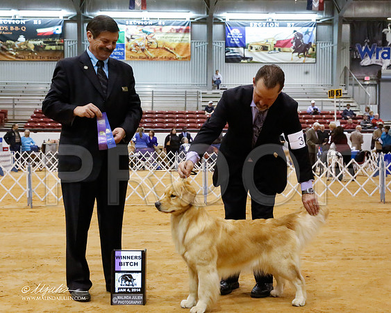 Gold-6363-GRJan14-HR