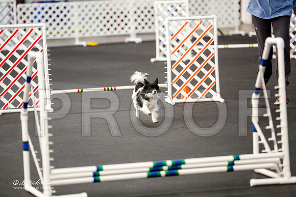 _CL_8280-PapTulsaMar2015-HR3