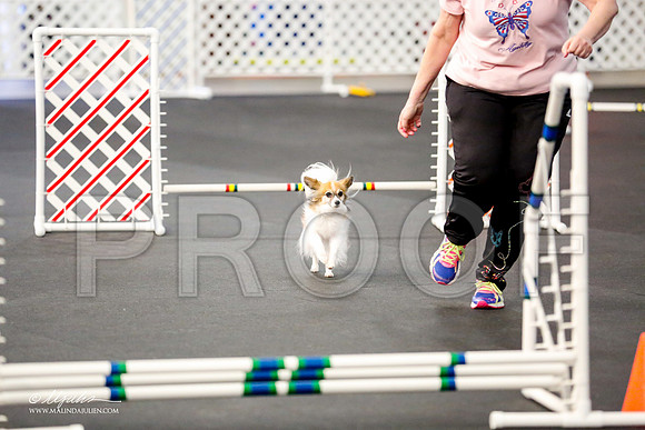 _CL_7843-PapTulsaMar2015-HR3