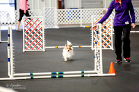 JWW Tr1 MP 4 #4801 Spangles Sherry Neumann