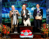 #207 Fri AOM Vickie Lembake *Elyse Vandermolen Judge Dr Steve Keeting