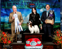 #221 Fri SD Madeline Mosing & Gia Garafalo Judge Dr Steve Keeting