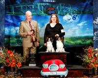 #317 Fri Stud Dog 2nd Carol Lauren Schmidt Audra Lynn Judge Dr Steve Keeting