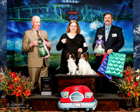 #367 Fri Best Brace Carol Lauren-Schmidt Judge Dr Steve Keeting