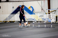 JWW Tr2 Nov A 8 #8001 Gracie Lu Catherine Hooge