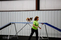 Std Tr1 Mast 8 #8805 Trick-C Angela Dominguez