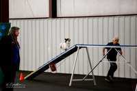 Std Tr1 Mast 12 #12603 Jett Racer Anita Tipton