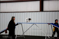Std Tr1 Mast 8 #8808 Merlin Sandra Holubec