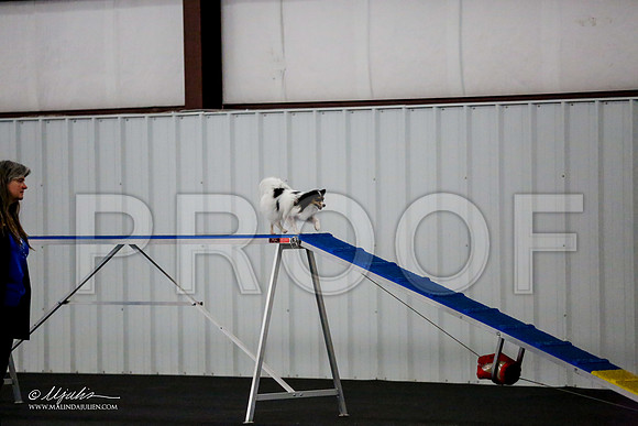 _CL_0309-PapTulsaMar2015-HR3