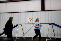 Std Tr1 Mast 8 #8809 Handsome Kristi Brookshire