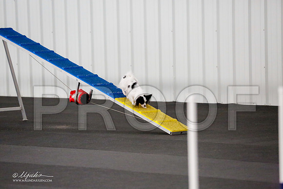 _CL_9366-PapTulsaMar2015-HR3