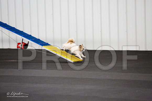 _CL_9102-PapTulsaMar2015-HR3