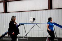 Std Tr1 Opn 12 #12402 Butter-Fly Susan Jean Paulsen