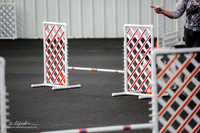 Std Tr2 Exc 12 #12601 Ocean Candy Janke