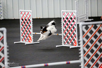 Std Tr2 Mast 12 #12603 Jett Racer Anita Tipton