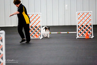 Std Tr2 Mast 8 #8808 Merlin Sandra Holubec