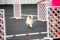 Std Tr2 Mast 8 #8809 Handsome Kristi Brookshire