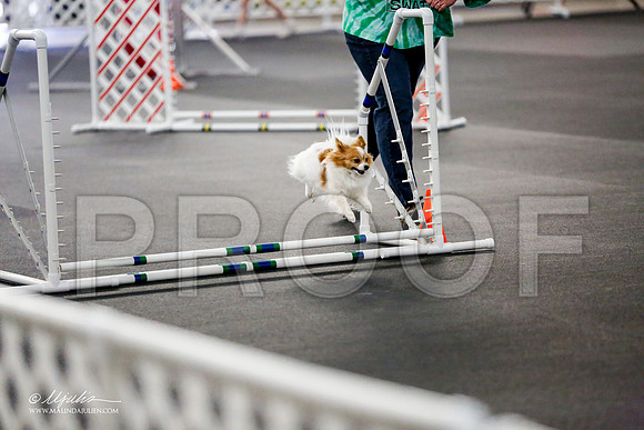 _CL_0883-PapTulsaMar2015-HR3