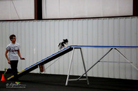 Std Tr2 Nov B 8 # 8206 Zip Paula Bowers