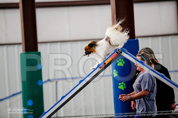 _CL_1523-PapTulsaMar2015-HR3