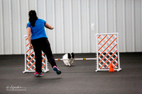 Std Tr2 Opn 12 #12402 Butter-Fly Susan jean Paulsen